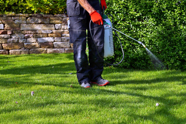 Emergency Pest Control in Millers Falls, MA